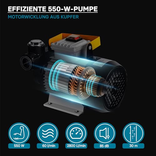 Dieselpumpe Wiltec Bio Heizölpumpe selbstansaugend 230V