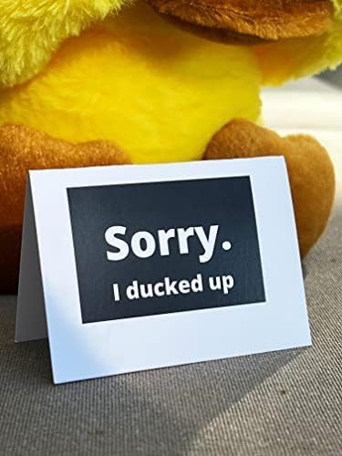 Miniatura 2 de Sorry I Ducked Up - Adorable pato de disculpa con tarjeta, regalos con texto en inglés "I Sorry for Her & He", peluche suave para novia, novio,
