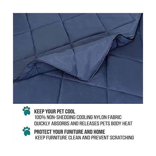 PetAmi Premium Cooling Dog Blanket | Lightweight Fluffy Pet Throw Blanket Bed Cover for Dogs, Cat, Puppies | Pet Blanket Furniture Protector Couch Sofa | Reversible Fuzzy Cozy | 29×40, Navy Blue PetAmi Premium Cooling Dog Blanket | Lightweight Fluffy Pet Throw Blanket Bed Cover for Dogs, Cat, Puppies | Pet Blanket Furniture Protector Couch Sofa | Reversible Fuzzy Cozy | 29×40, Navy Blue
