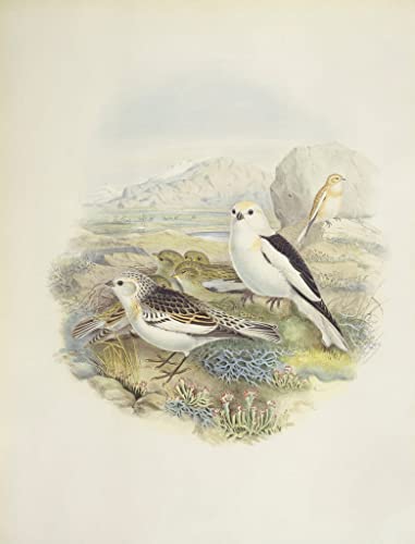 Peinture sur toile nordique d'oiseau pour sublimer la décoration de la chambre à coucher