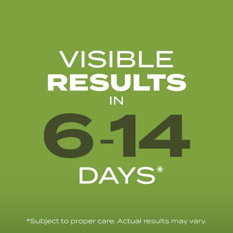 Scotts Turf Builder Tall Fescue Grass Sun or Shade Fertilizer/Seed/Soil Improver 5.6 lb