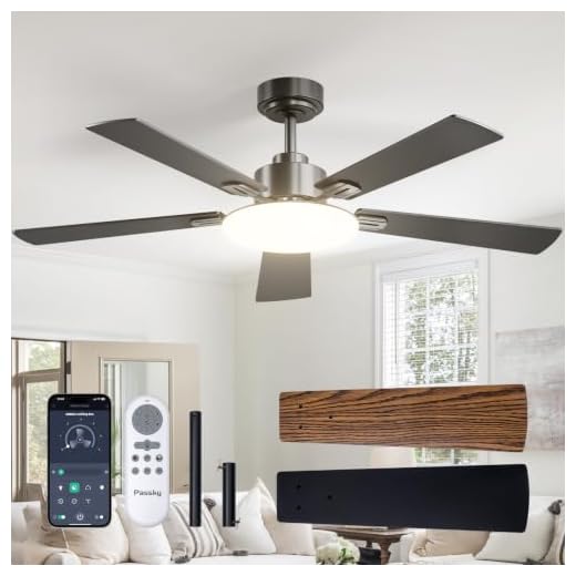 Passky Ceiling Fans with Lights, 52 inch Sleek Ceiling Fan with Light and Remote Control, 3CCT, Dimmable, Reversible, Noiseless, Black Ceiling Fan for Bedroom, Living Room