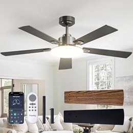 Passky Ceiling Fans with Lights, 52 inch Sleek Ceiling Fan with Light and Remote Control, 3CCT, Dimmable, Reversible, Noiseless, Black Ceiling Fan for Bedroom, Living Room