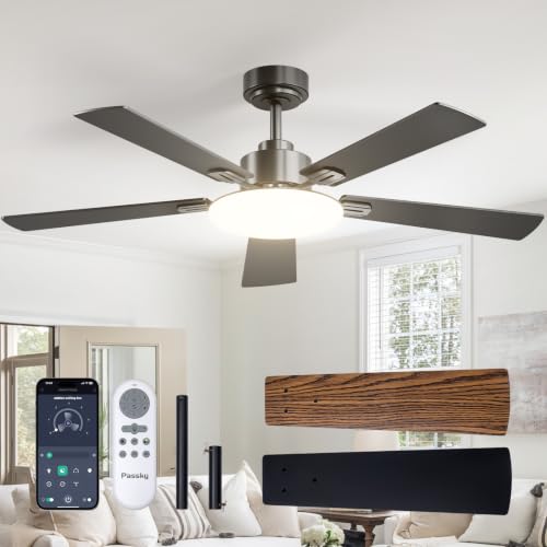 Passky Ceiling Fans with Lights, 52 inch Sleek Ceiling Fan with Light and Remote Control, 3CCT, Dimmable, Reversible, Noiseless, Black Ceiling Fan for Bedroom, Living Room