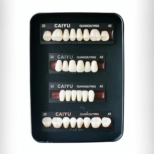 SDent® 2 Boxes 2 Layers Synthetic Nano Steel Teeth Multi-Layer Acrylic Composite False Teeth Denture Polymer Polymerial Materials & Full Set & A3 & 1 SET