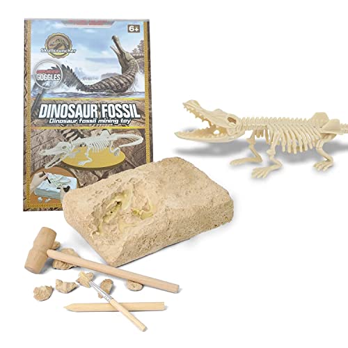 Kidology Dinosaur Fossil Digging Kit for Kids | Dino Dig Model Toys | Skeleton Set Science Educational Realistic Toys Gifts for Boys, Girls