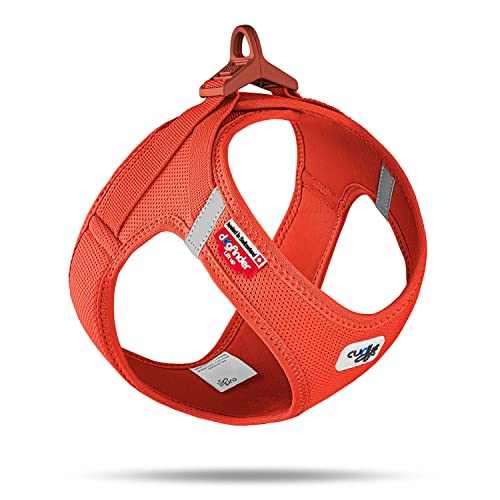 Vest Harness curli Clasp Air-Mesh Sun Orange M, Orange (Sun Orange)