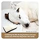 Ellie-Bo Ersatz Hundebett Cover mit Faux Wildleder und Schaffell, 100 x 66 cm, Large, Braun
