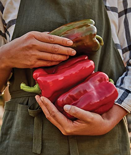 Burpee Great Stuff Sweet Pepper Seeds 40 seeds Burpee Great Stuff Sweet Pepper Seeds 40 seeds