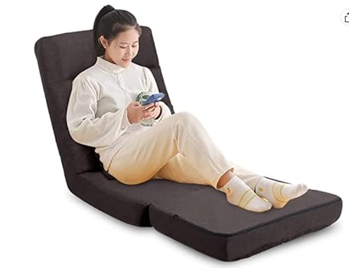 Floguor Chaise Lounge Indoor, 14-Position Floor Chair With Back Support For Adults Kids, Folding Lazy Sofa Chair Lounge Chair With A Padded Pillow For Living Room, Bedroom, For Gaming Reading 8823Co #TOP9