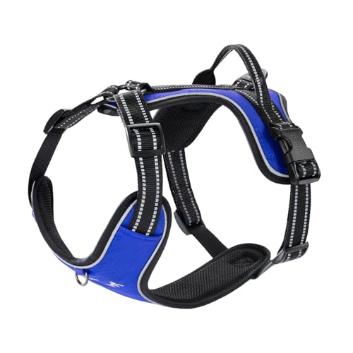 EXCELLENT ELITE SPANKER iCˌpn[lX ߉\ Ȃ y EVA pbhxXg l[v[g tgNbv T[rXhbOn[lX obNt ^^p(u[AS)