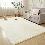 Andency 4x6 Shag Area Rug for...