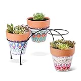 Zuhause Ihrer Pflanzen| Perfekt für den Anbau von Moos, Sukkulenten und Kakteen im Innenraum oder auf den Balkon. Egal ob auf dem Schreibtisch, am Fensterbank oder auf dem Bücherregal sind sie echte Blickfänge.