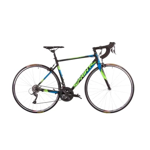 Bicicleta de Carretera para Principiantes, Ruedas de 28 Pulgadas, Cambio (550 mm)