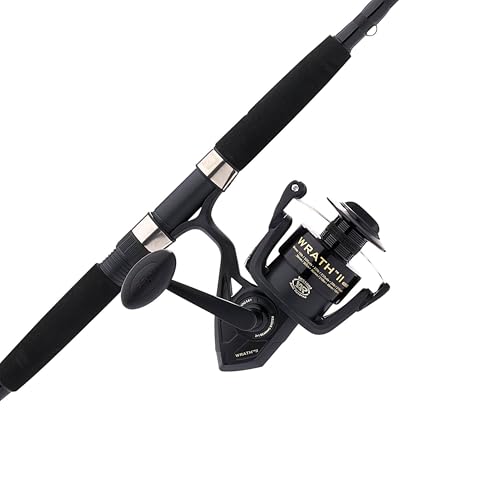 PENN Wrath II Spinning Combo