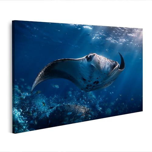 Toile océan raie manta pour briser la monotonie des murs