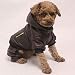 BAYUE Mascotas Ropa for Perros pequeños de Cuero del Invierno Escudo Chihuahua...