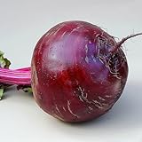 Semisauvage Permaculture