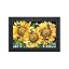 Buzzing Sunflowers