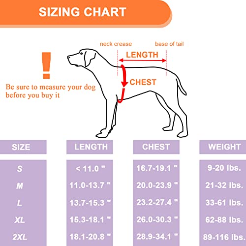 Coodeo Dog Back Brace For Dogs Arthritis, Pet Back Bracer For Ivdd, Back Protector Helps Pain Relief, Surgical Recovery And Rehabilitation, Dogs Back Disease Prevention. (Medium) #TOP5