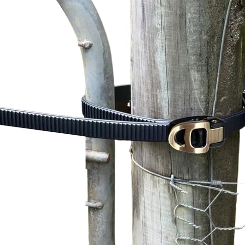 Trinquete de Amarre Rapido Marca Genérico