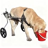 Adjustable Dog Cart for Hind Legs, Large Breed Pet Wheelchair, Strong Lightweight Frame, Padded Belly Sling and Seat, Big Shock-Absorbing Wheels(XXL)