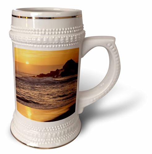 3dRose 22oz Stein Mug - California, Big Sur. Sunset and splashes at Pfeiffer Beach Big Sur