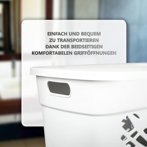 Wäschebox Wäschesammler 60L Wäschekorb mit Deckel Wäscheaufbewahrung aus Kunststoff Wäsche Sortierer