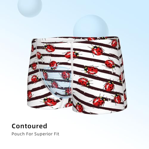Boys' Cotton Boxer Brief Soft Underwear-Ladybugs On Black And White Striped14