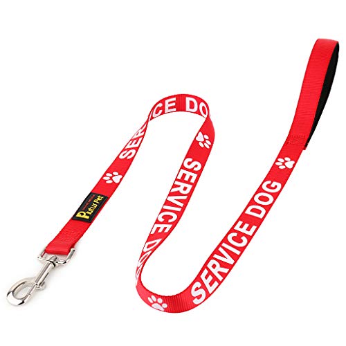 Plutus Pet Service Dog Leash Large