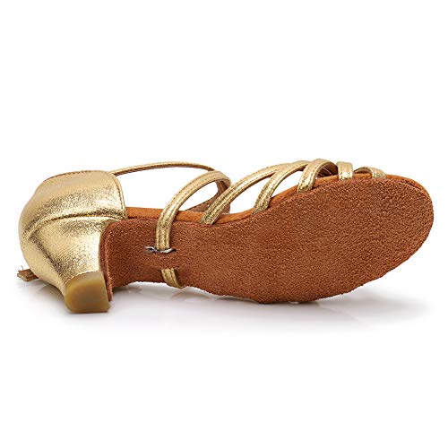 HIPPOSEUS Girls' Standard Latin Dance Shoes Low Heel Salsa Ballroom Cha Cha Shoes4