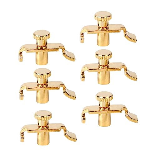 VINTORKY 6Pcs Professional Stainless Steel Erhu Tuners Durable Musical Instrument Accessories for Quick and Easy Tone for Erhu Repairs and Maintenance