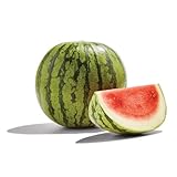 Seedless Mini Watermelon