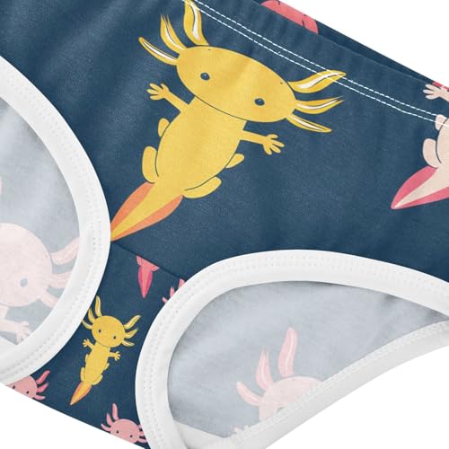 Cute Axolotls Toddler Girls's Underwear 2T 202c12654