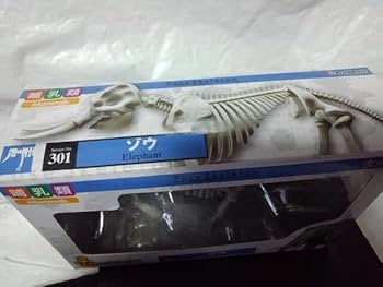 Amazon.co.jp: ポーズスケルトン ゾウ 骨格 可動フィギュア 哺乳類