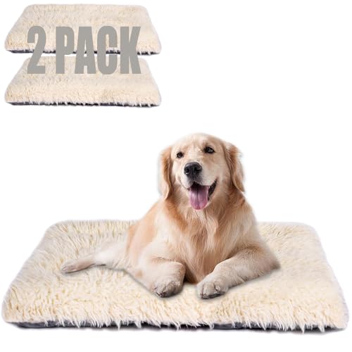 @Ő􂦂錢pxbhAfbNXvbVpN[gpbhƔL̃xbhA~߃{gpbh}bgA^A^A^p̃t@W[ybgxbh(AC{[A60.72cm x 45.72cm x 7.64cm x 2pbN)