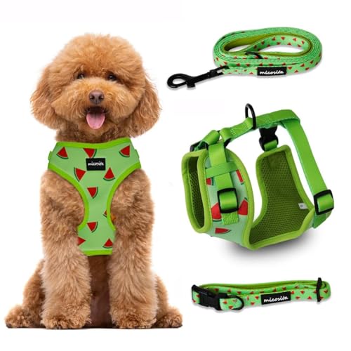MICOSITA Harnais pour chien de petite taille moyenne | Harnais anti-traction respirant avec laisse, collier de chien et distributeur de sacs pour chien (S, pastèques)