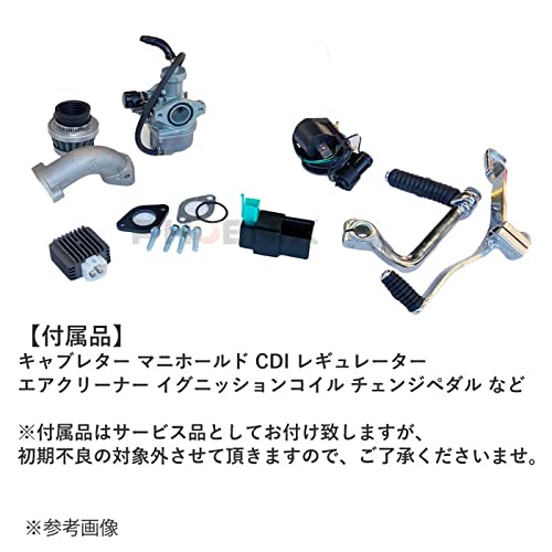 Amazon | PHOENIX エンジン 本体 125cc ZONGSHEN W125-G 4スト 12V