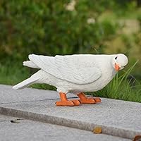 Amazon.co.jp: 鳩の置物 白 ピジョン タイプ 鳥 えんぎものの