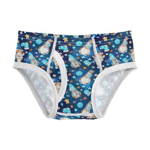 Cotton Little Boys Briefs Soft Scandinavian Gnomes Toddler Underwear
