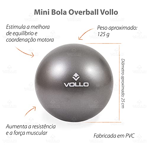 Mini Bola De Exercicios Cinza 25cm