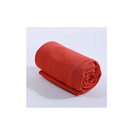 神仏習合 (ロッコウブックス)