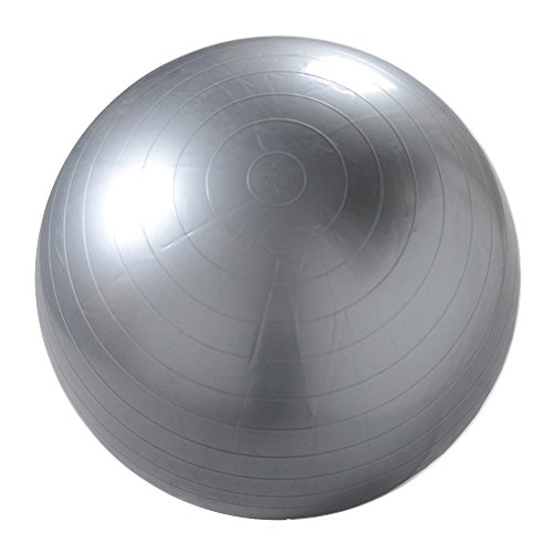 Yoga Ball Anti Slip Blast Against Fitball Pilates 65CM 75CM Two S...