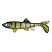 Havoc Sick Fish