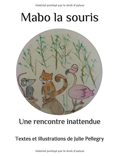 Mabo la souris: Une rencontre inattendue
