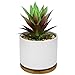 Produktbild Hopewood Künstliche Sukkulenten im Topf, künstliche Ananas-Sukkulenten mit Keramiktopf und Holztablett, künstliche Pflanzen für Zuhause, Büro, Schreibtisch und Badezimmer, 17 x 12 cm
