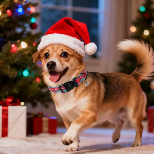 Image of Christmas Dog Collar, Red and Green Plaid Adjustable Pet Collar with Snowflake Charm, Holiday Dog Accessories for Small Medium Large Dogs
