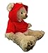 Red Hoodie Tee Teddy Bear Clothes Fits Most 14