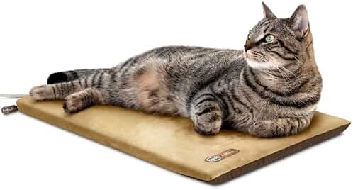 best calming cat bed for anxious senior cats with arthritis