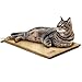 K&H Pet Products Thermo-Kitty Mat Heated Pet Bed Mocha 12.5 X 25 Inches